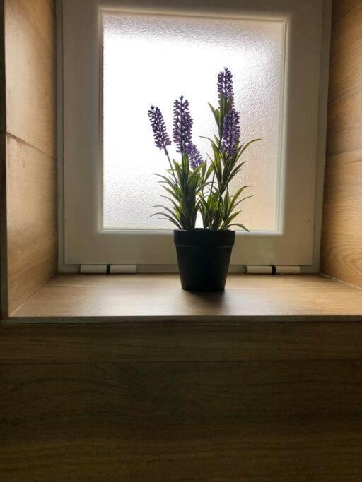 A&C Cozy Apartment Elvas Buitenkant foto